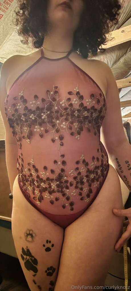 Curlyknotz pornstar adult images