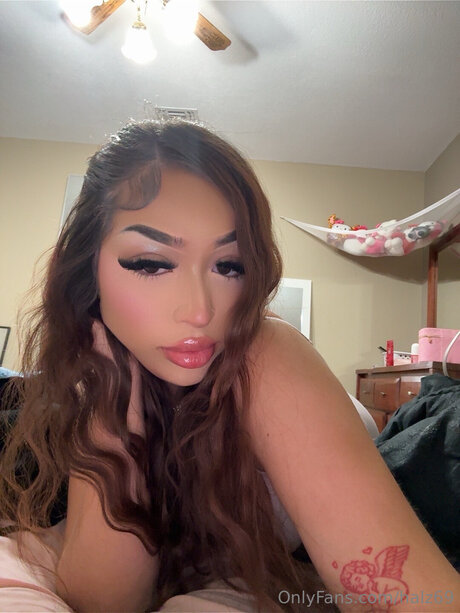 Halz69 exclusive star gallery