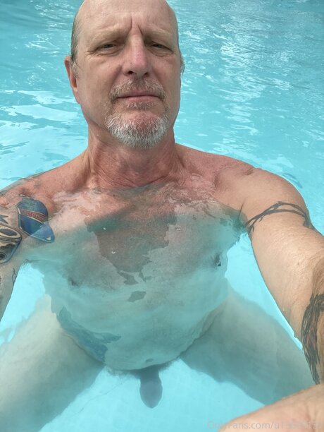 U13695137 star nice img