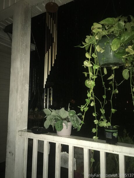 U13695137 sexy star gallery