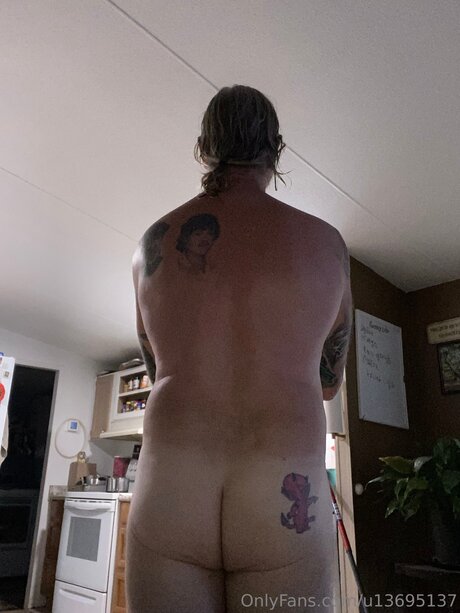 U13695137 beautiful star archive