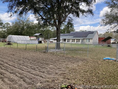 U13695137 star adult gallery