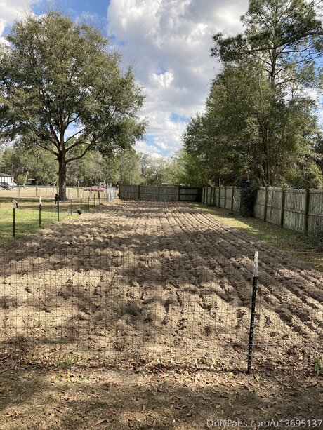 U13695137 perfect pornstar img