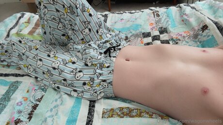 Wagonwheels model beautiful picture