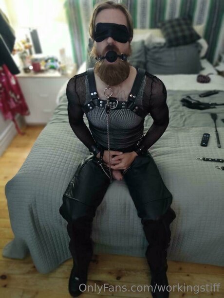 Workingstiff free model galleries