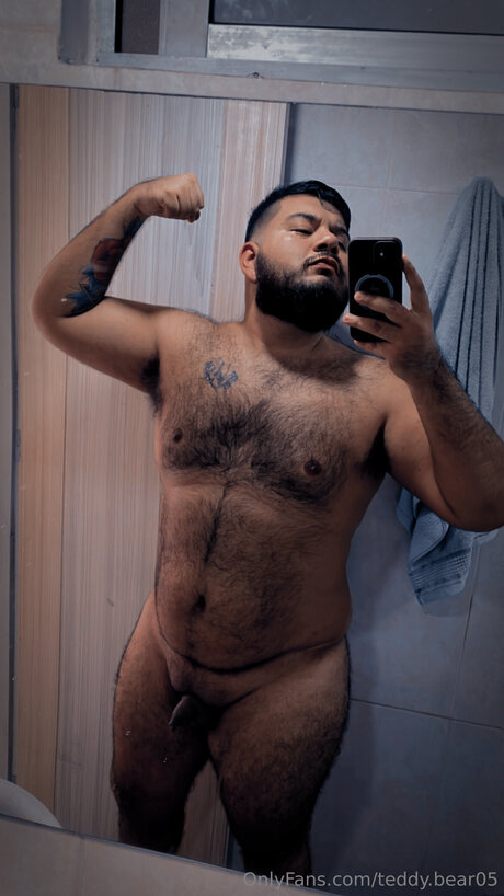 Teddy Bear05 model art image