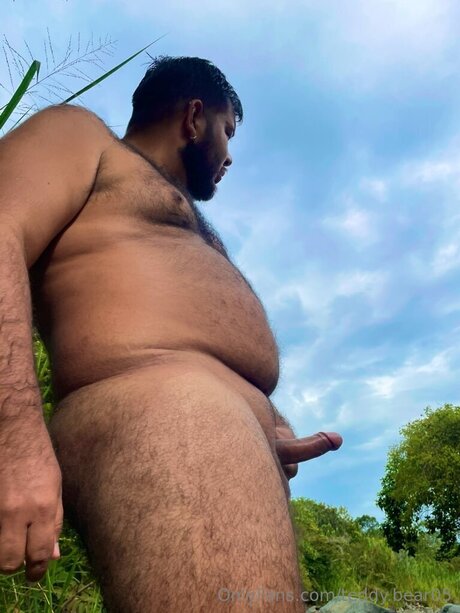 Teddy Bear05 nude star picture