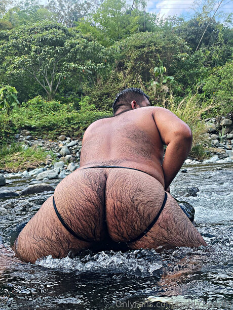 Teddy Bear05 star porn pictures