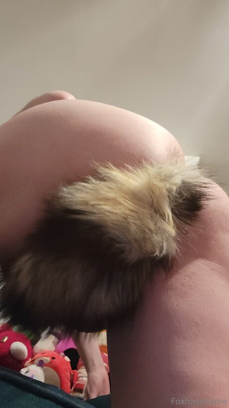 Foxhasshame model perfect pics