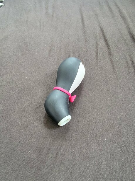 Foxhasshame star pornographic pictures