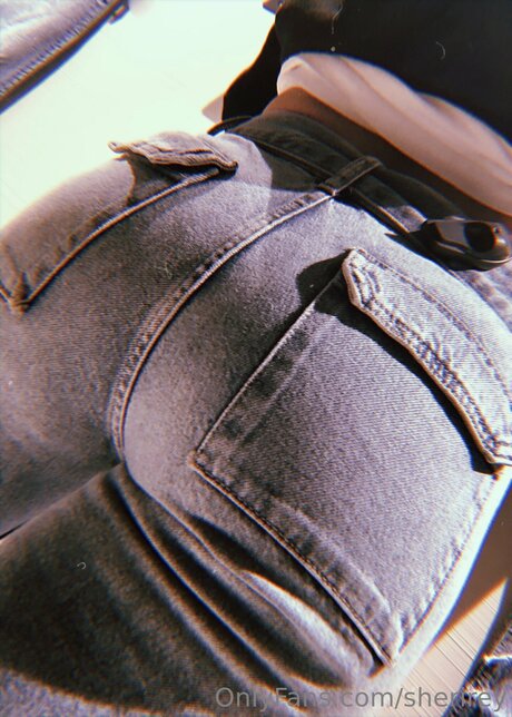 Sherirey top model image