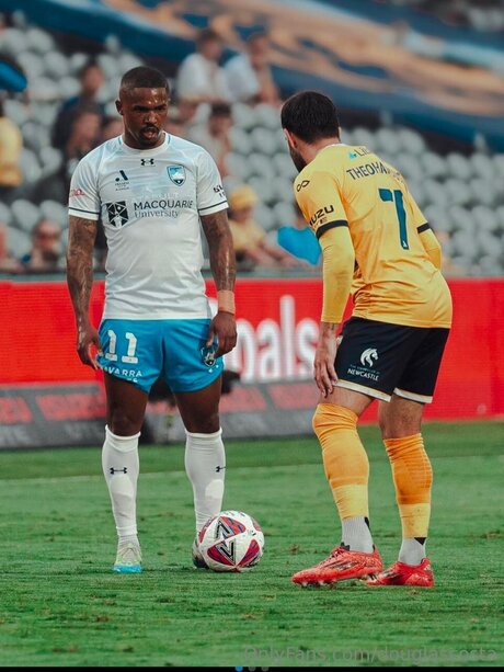 Douglascosta perfect star galleries