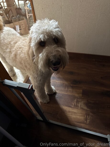 Man Of Your Dream naked pornstar images