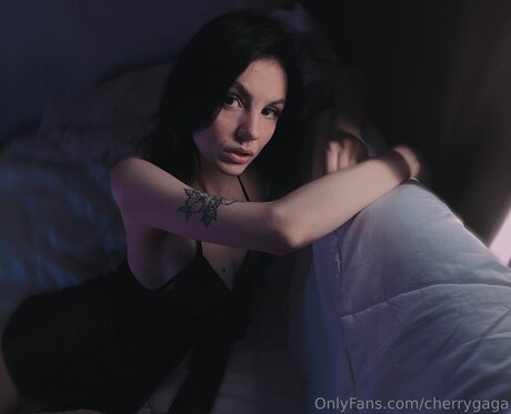 Cherrygaga pornographic actress pics