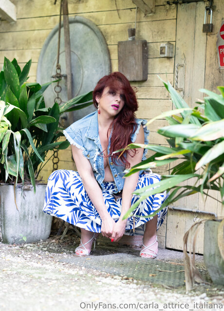 Carla Attrice Italiana art actress images