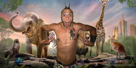 lilgolo star high quality picture