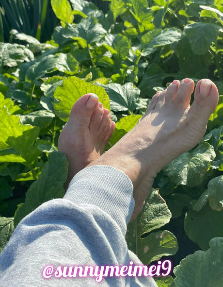 sunnymei star nudes pictures