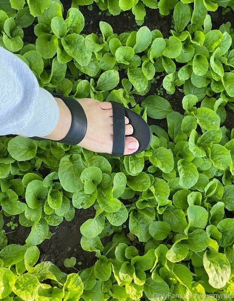 sunnymei star hd image