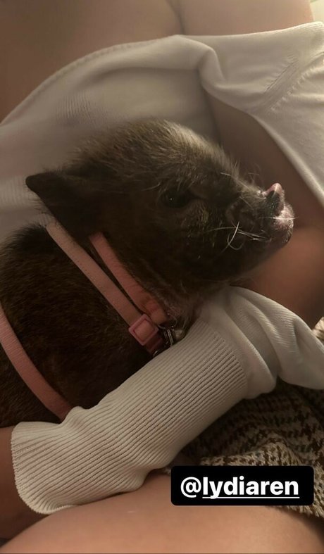 Lydiaren nice actress picture