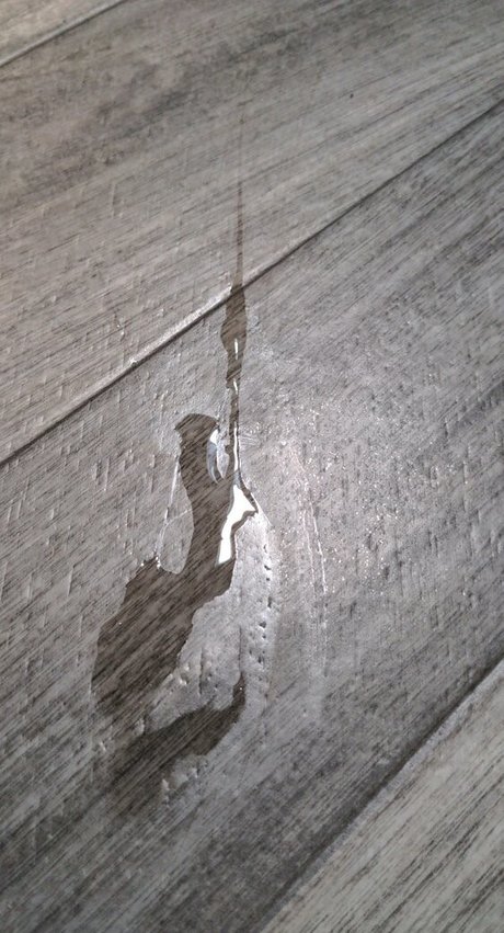 any1 4abj erotic actress gallery