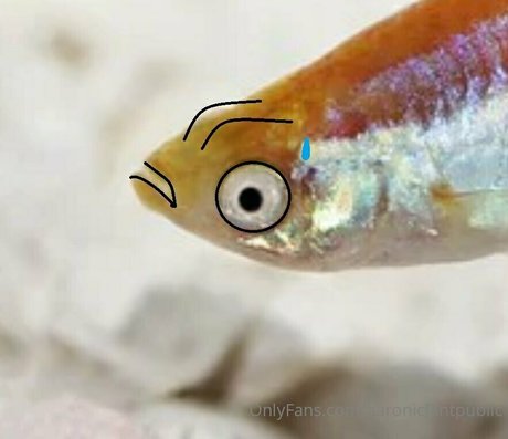 aaronicflintpublic nude actress pics