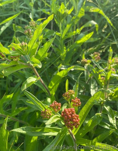 rukiabrat free actress picture