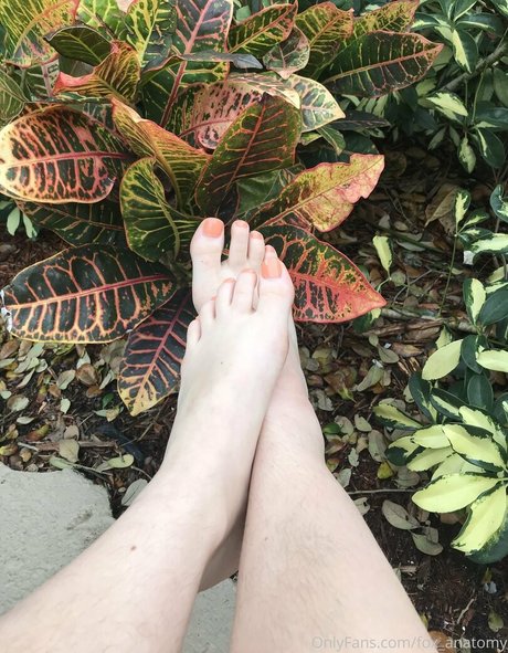 fox anatomy hot actress gallery