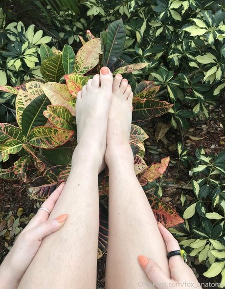 fox anatomy star free pics