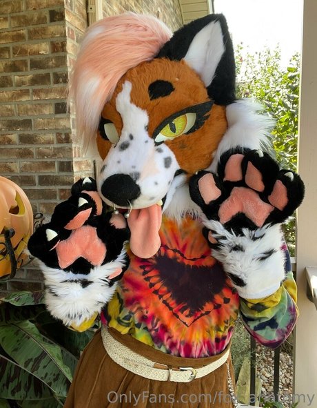 fox anatomy adult star image