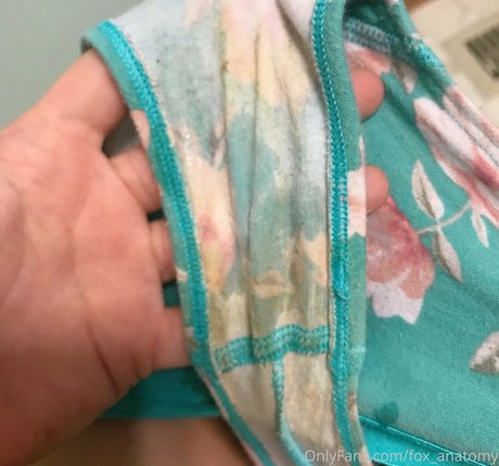 fox anatomy high quality model img