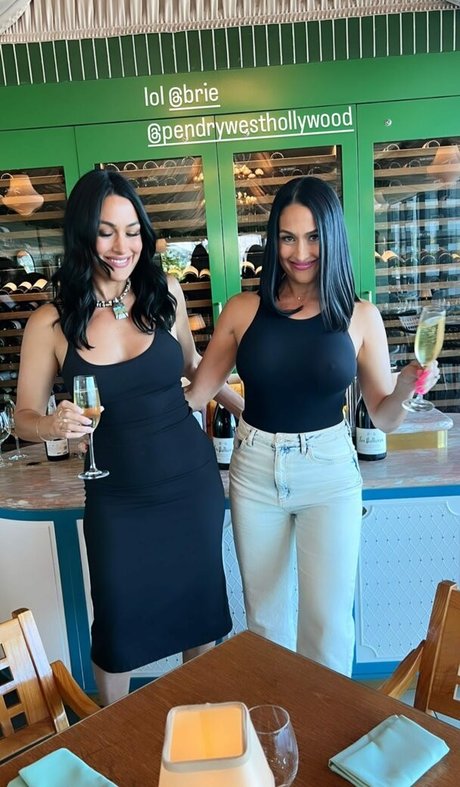 Nikki Bella top model gallery