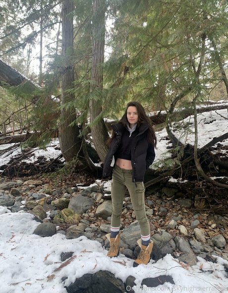 skyhighsierrafree pornstar art pics