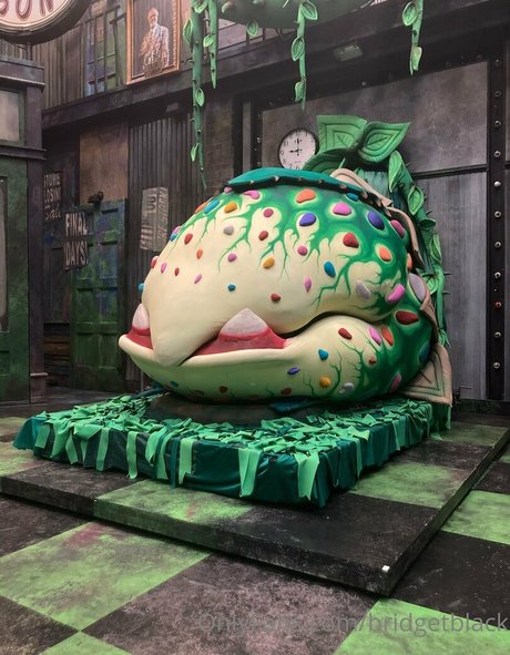 bridgetblack porn star pic