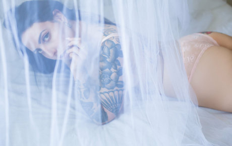 sgitaly free star archive