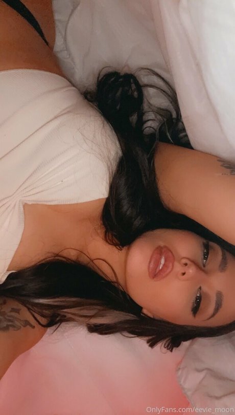 eevie moon star art picture