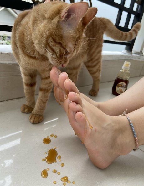 feetbecks exclusive pornstar img