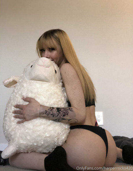 ninecloudz model best archive