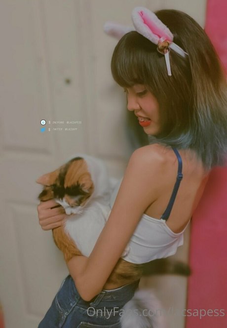 bibbob model pornographic photo