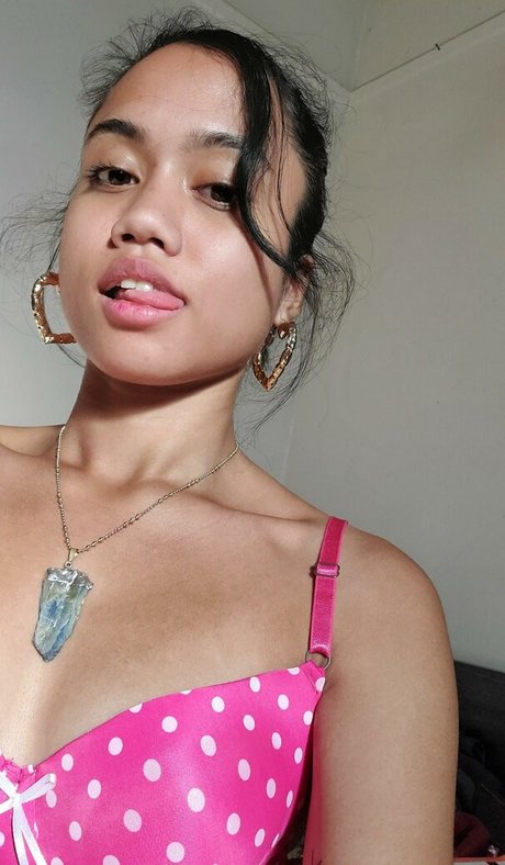 Soft collection13 star free archive