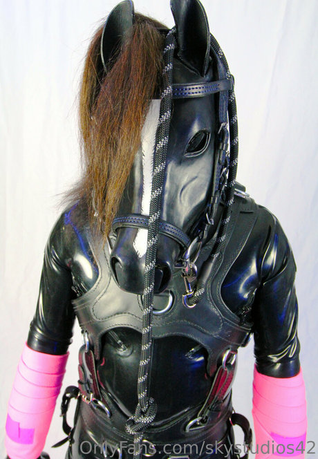 skystudios42 star porn gallery