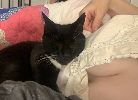 blackbloodridge exclusive pornstar picture