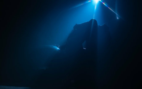 Anais Dior Palacios model sex picture