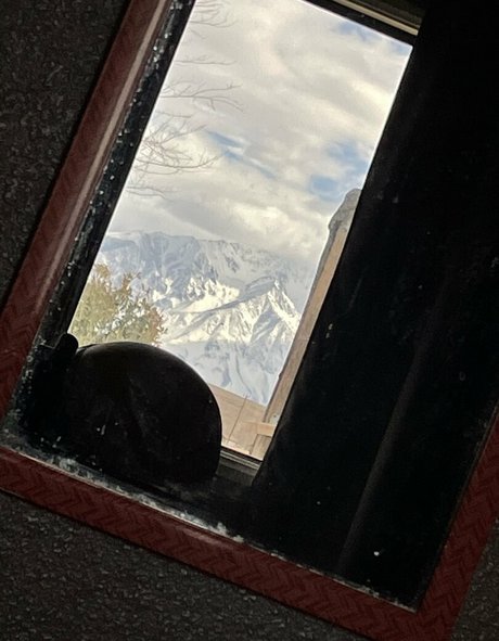 tacowhore pornstar pretty picture