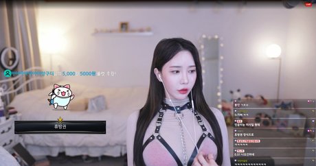 winter 28270 perfect star img