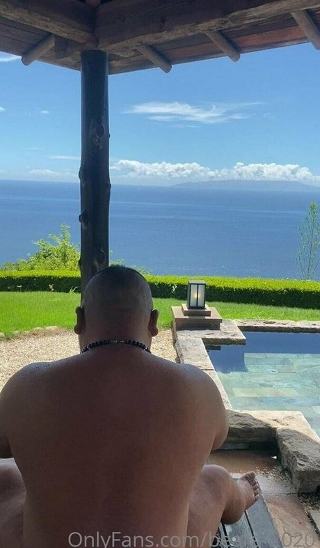 bears 2020 Profile pic