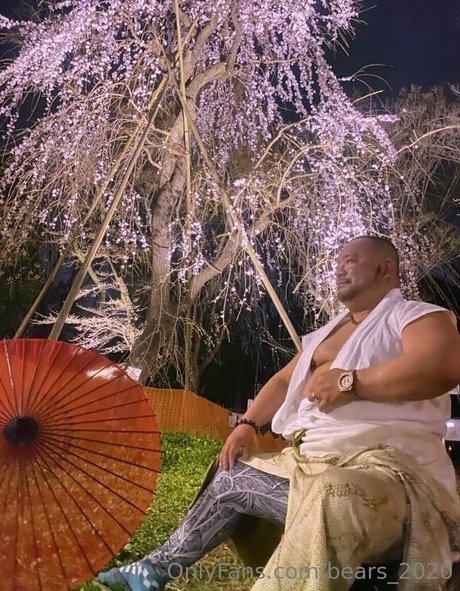 bears 2020 pornstar best galleries