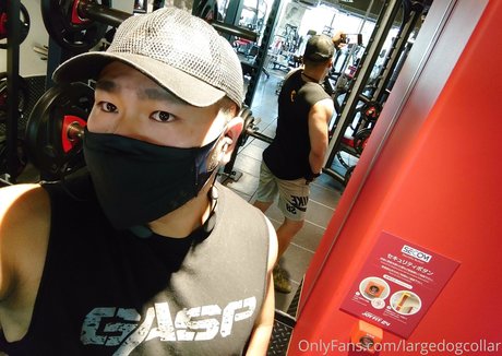 largedogcollar high quality actress pic