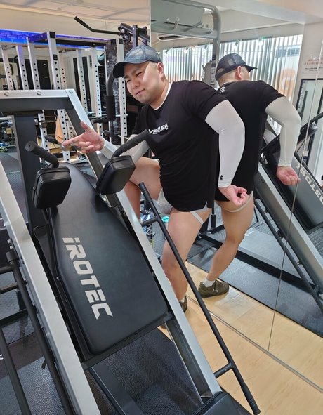 largedogcollar star best gallery