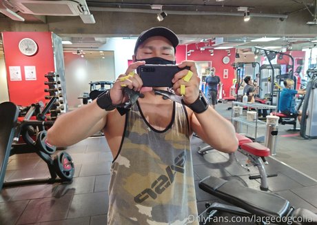 largedogcollar pornstar best pictures