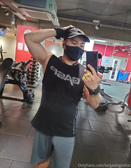 largedogcollar pornstar high quality pictures